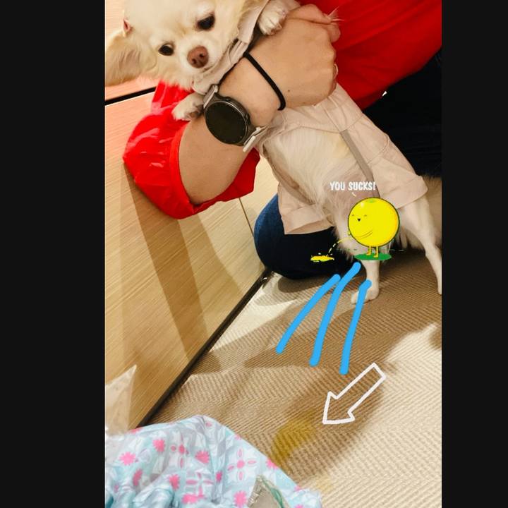 5367628b 6808 4634 b7da 9d87fec979f7 1720182272346