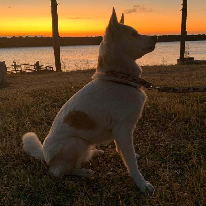 536763f2 1e00 439d b5e4 238de6ee0927 1704712526236