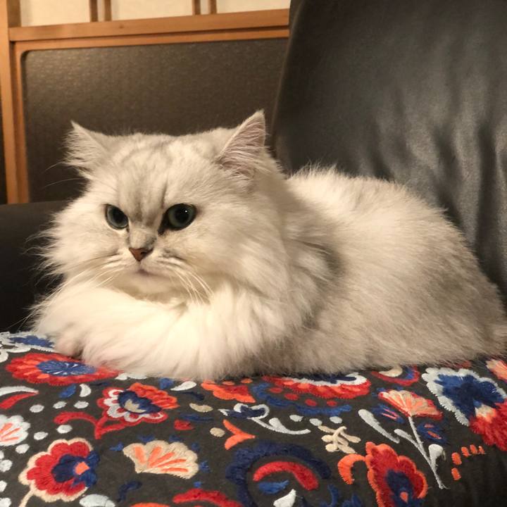 53676d74 a282 4fa9 9a3e 369ee7b36e78 1602295620346