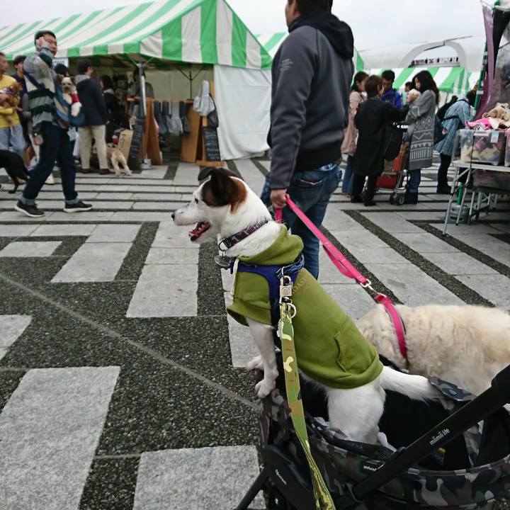 53676f8e f711 4b87 9e55 48c4668f5edc 1507950474382