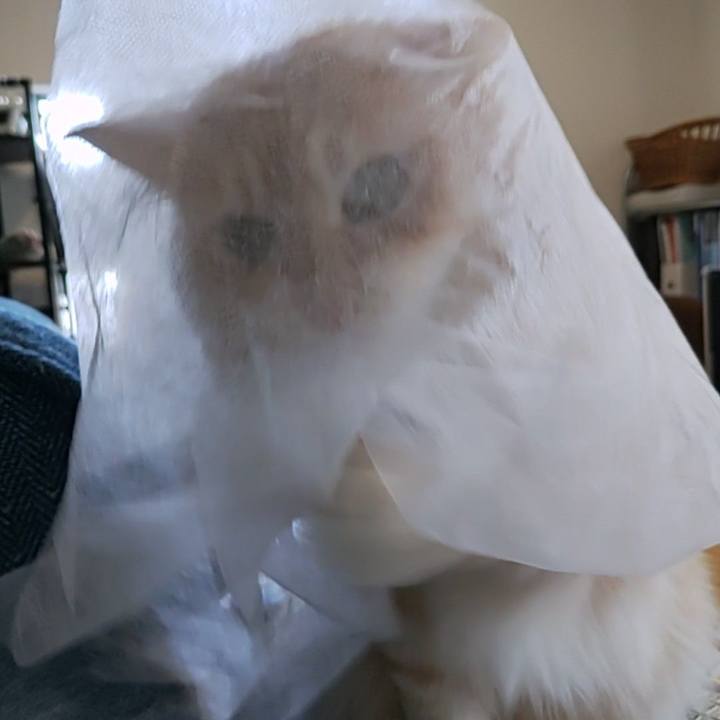 536783ed 8281 4053 8071 62504eff1841 1660463029050