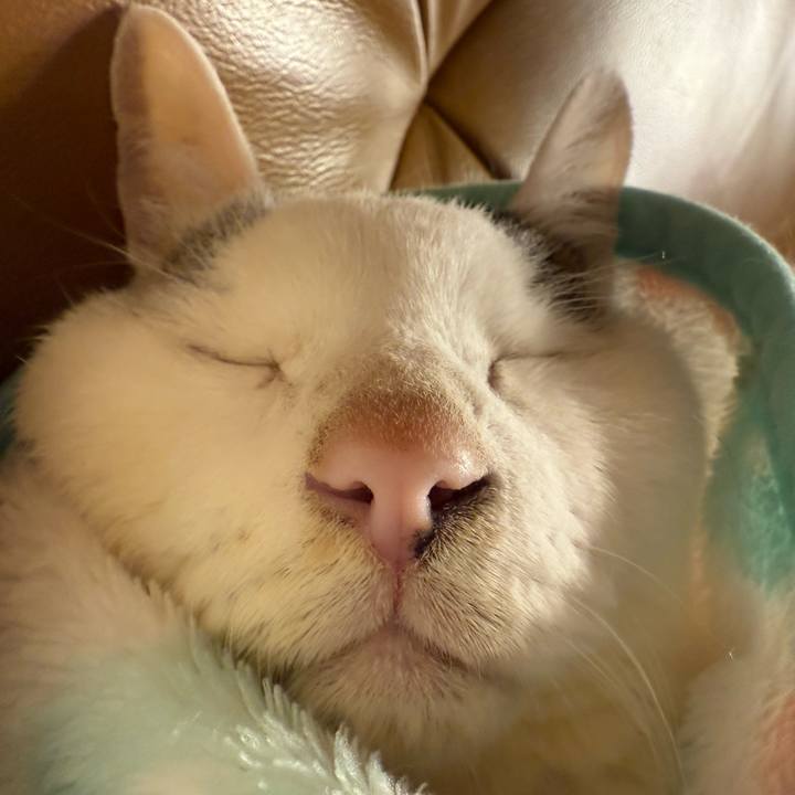 5367883b 711f 49ae 8577 2fcd69a08a35 1766407570935