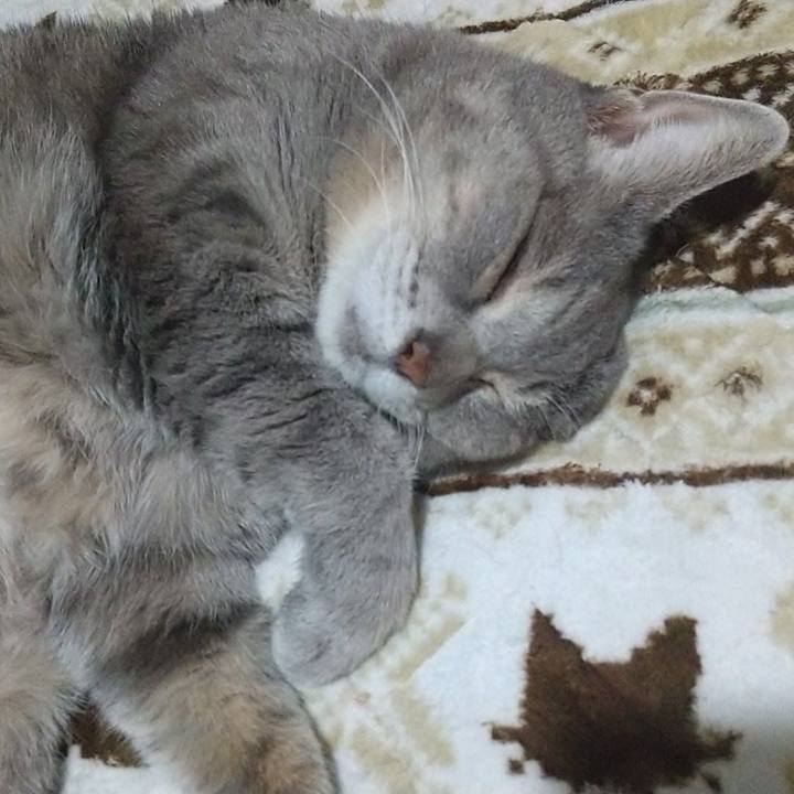 5367c366 cd1d 43de aaad 2d6f1086a30a 1701228059991