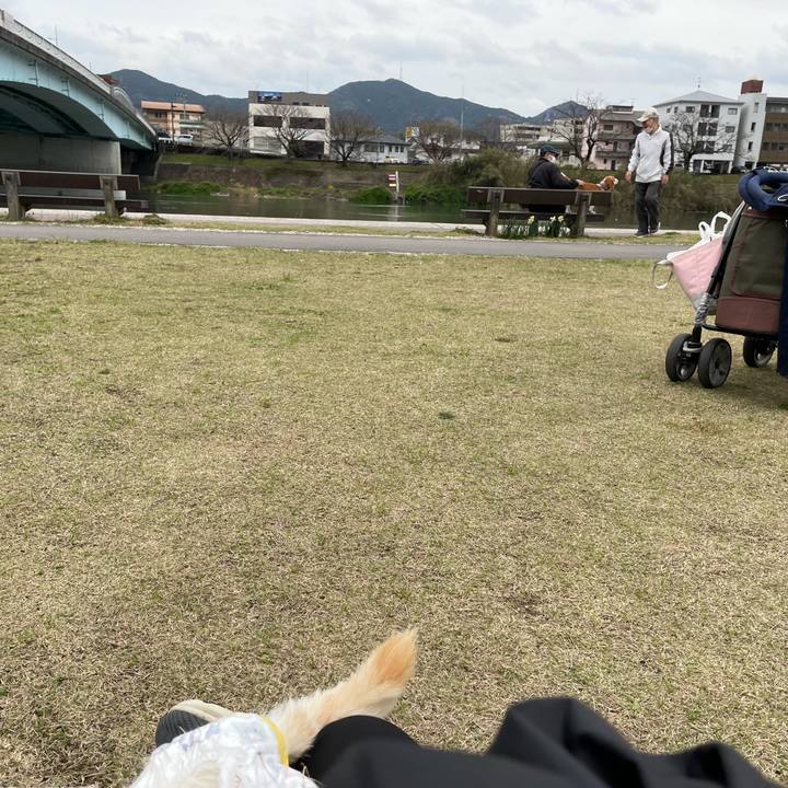 536823f5 f74c 4260 bfb5 91f42b05c986 1679314737836