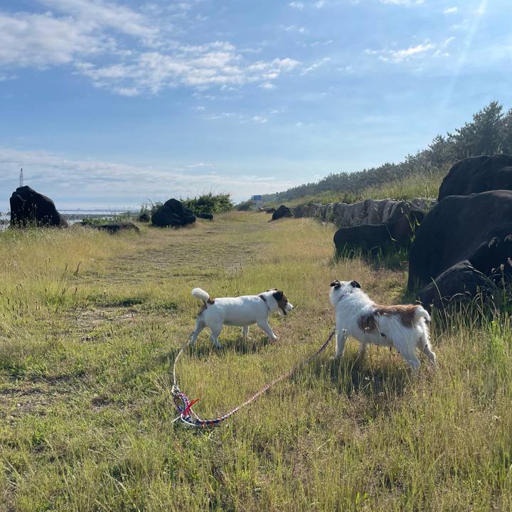 53683463 d48c 42ed 9df1 44364855fa8e 1718060654156