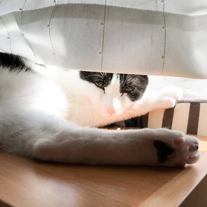 53684add 1f58 4314 a2de 4c2898a0c047 1524407176074