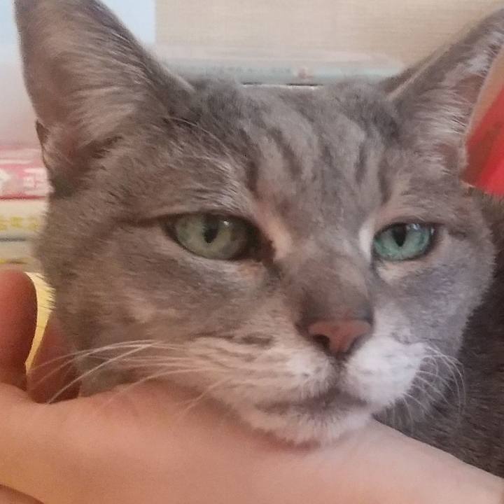 536865be 5663 48f5 af88 dec0b8215720 1676072835180