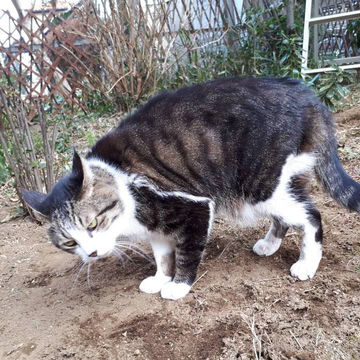 53690398 2885 44e8 9982 275609160c72 1643098928693