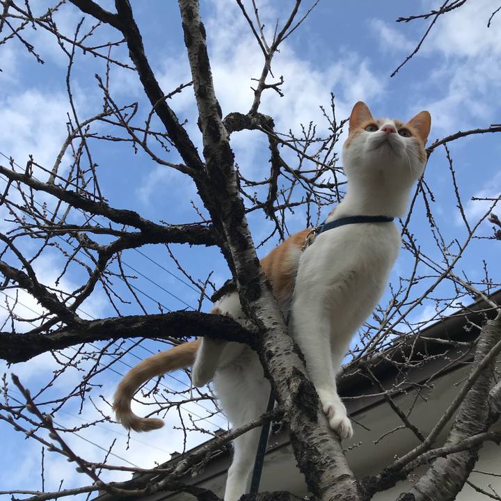 53690419 5800 43d1 b890 5dd6b35eaa02 1518320914228