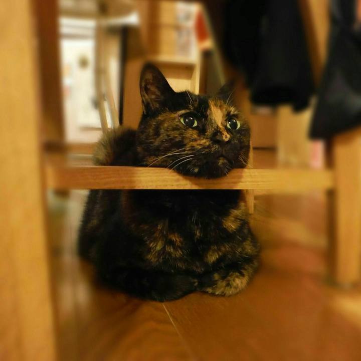 53692c02 b6b7 459a 8f58 e2e356e34934 1535959943225