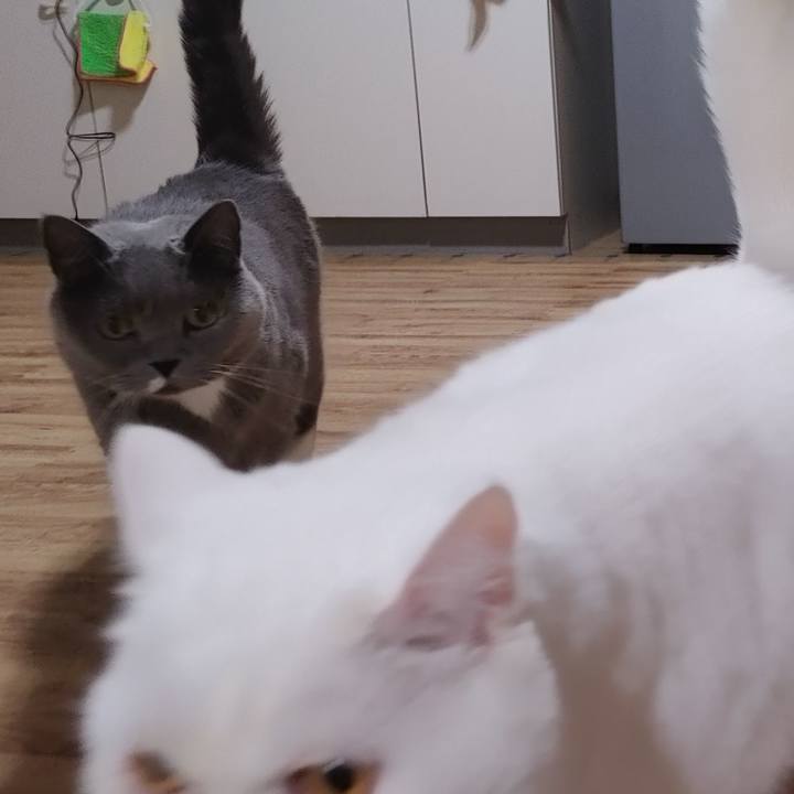 5369554d c0e1 4110 b844 97aa0db5a784 1671023470027