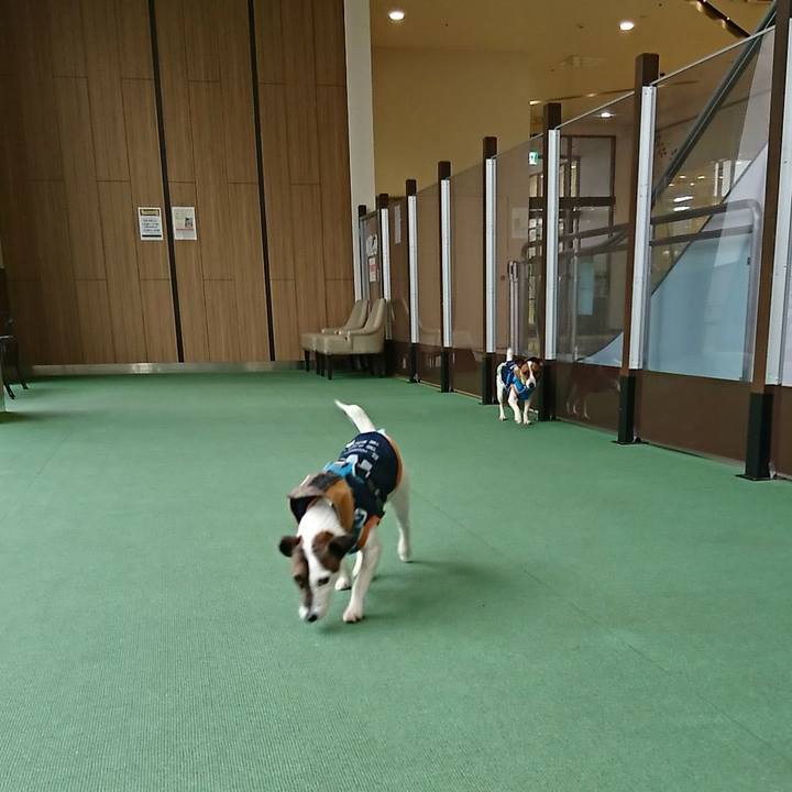 53697b2b cc71 4168 b6eb 00f67d47b0ec 1549954374562