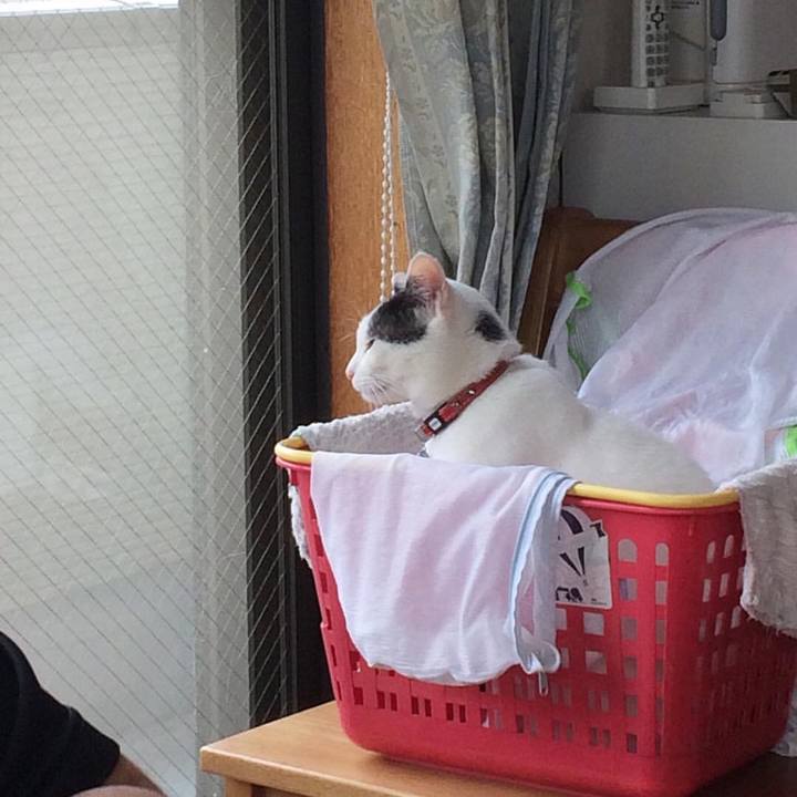 53698c10 aff9 43a5 ace6 85faafb436e0 1557460014677