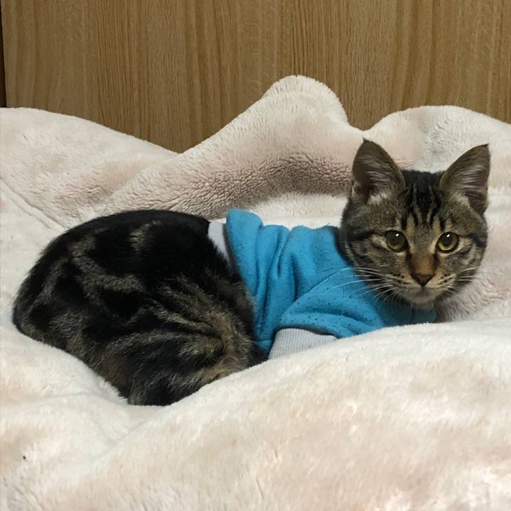 5369b210 5c39 4463 9eca a4094a4a3e8a 1732884442495