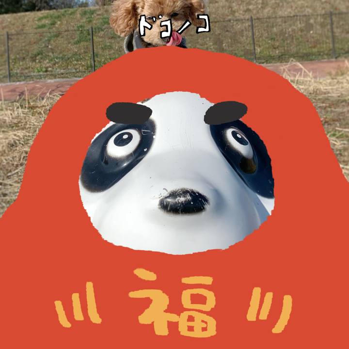 5369b603 067d 46af 928f 177c3560328d 1772272783478