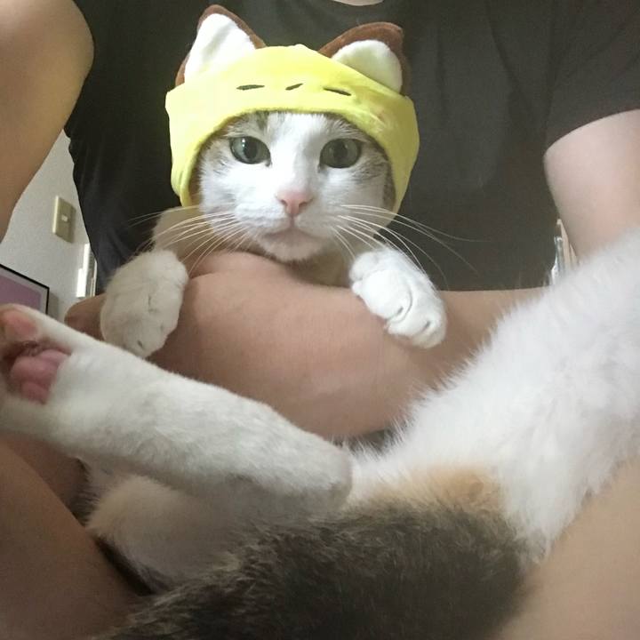 536a476a e1cb 47ff 80f8 ebbd7d53d7e3 1651627493479