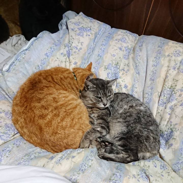 536a8696 9b05 4ed8 a720 c37dcc8c99d2 1582376151669