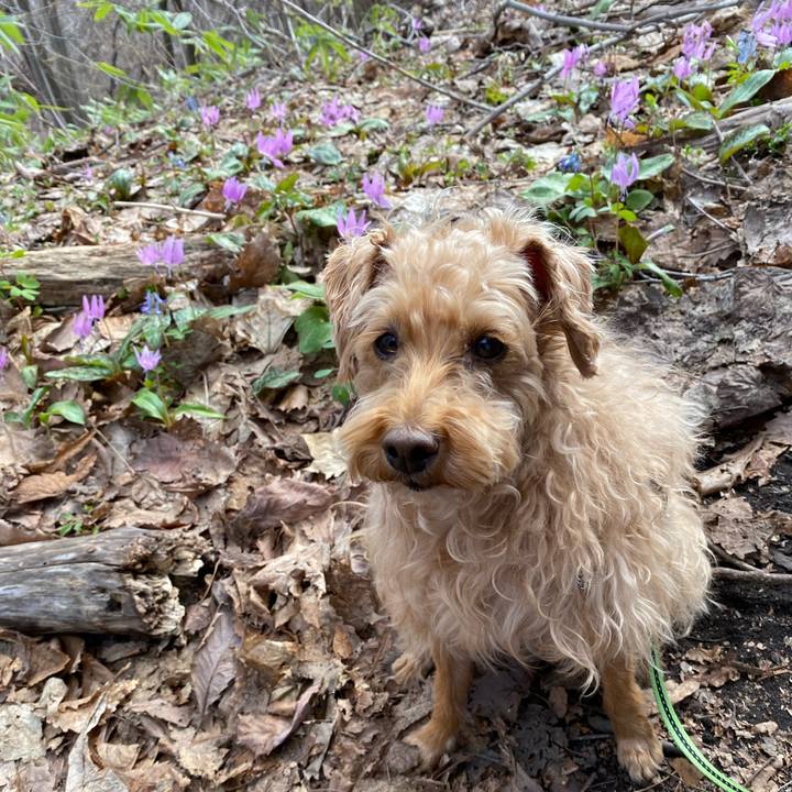 536aa1db 1b4d 4f22 be6c 9bb1fc32ebfc 1650761508442