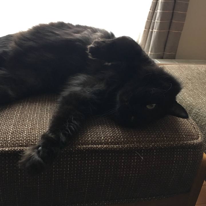 536adcc8 4c8f 42e2 98d5 8560b4d6c103 1531486589537