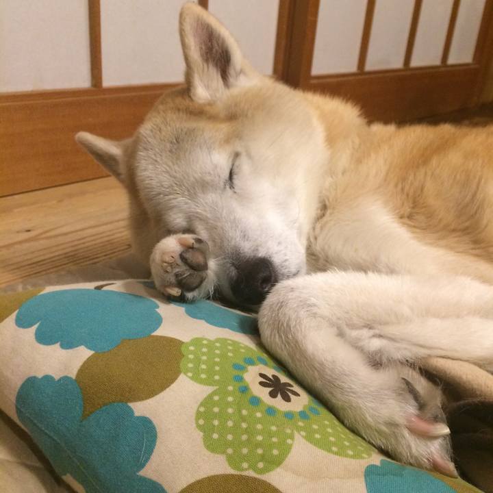 536ae57c d82e 4f20 8ef8 ac5855130b3e 1587993287686