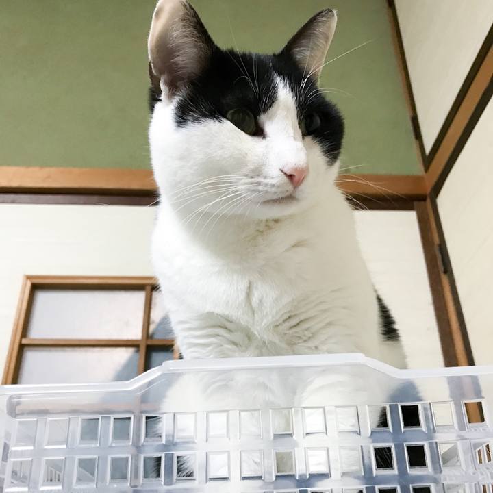 536ae593 7d77 46bb 886e 2048853dd3df 1512096352158