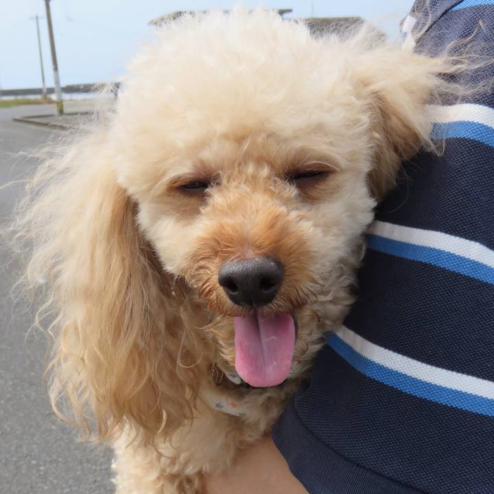 536b034c df20 48be 9da2 79748cbdb588 1590448019415