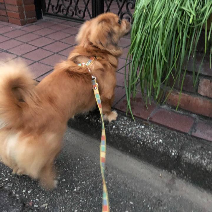 536b155b 6c4a 4d42 b008 a7862e6d6188 1510609894170