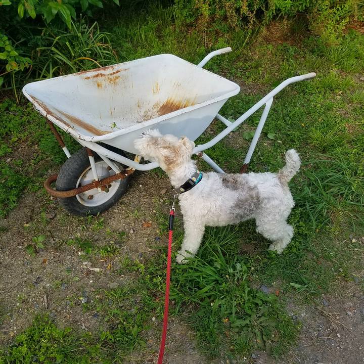 536b566c ddbd 447f 9720 fa883c3b9d5b 1732229450706