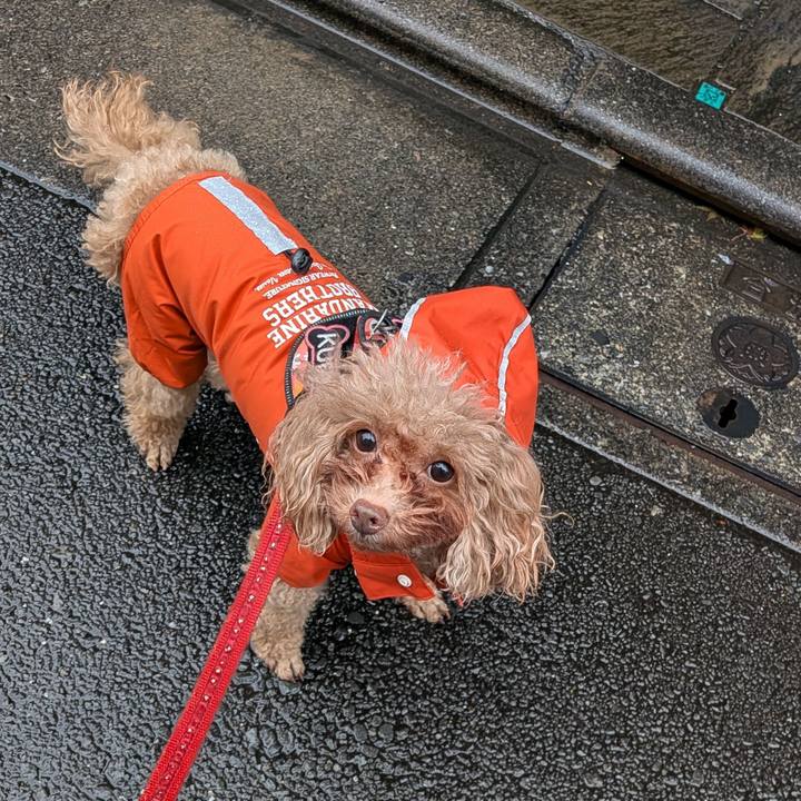 536b59f5 4e40 4e2a a9e7 1e40d1523f3b 1766550502639