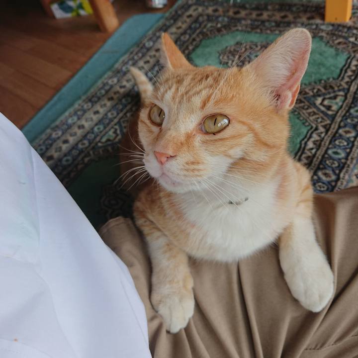 536b7f4d 606f 4153 8a9b 662a753aedf4 1588399210743