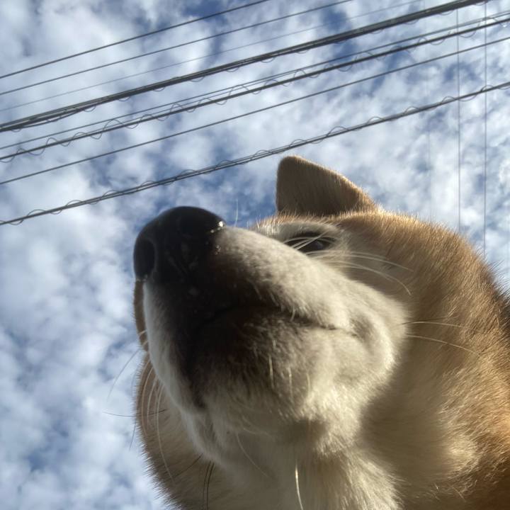 536b877c e3de 4cb4 bcb6 634952fa9c78 1761698192063