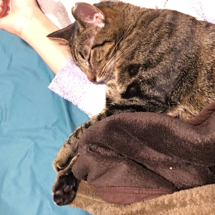 536bb677 621b 414d 9f92 4fdab2d64707 1543360300912