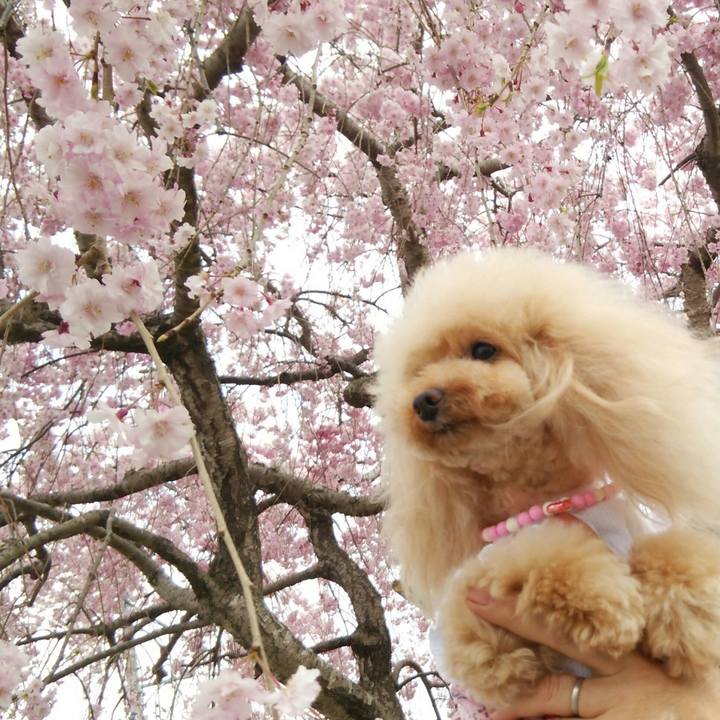 536c5409 11d3 46b6 9e51 96539a0a57f1 1555849239763