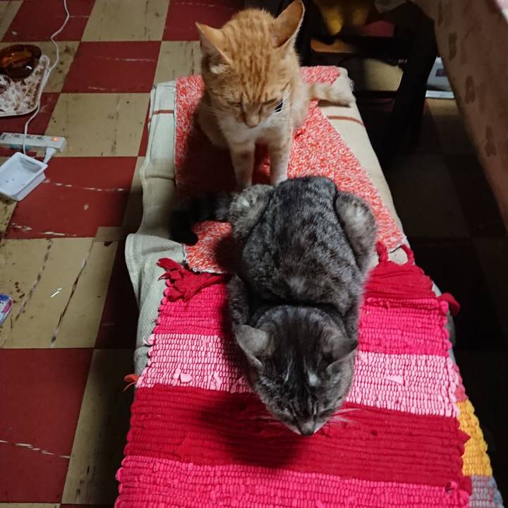 536c56df 2532 4274 a206 e8ff6081e551 1559902890544