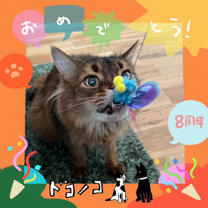 536c7dbf 17dc 4b4a b841 87b4a93e0fff 1717682715087