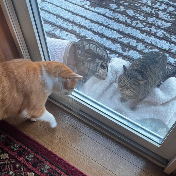 536ca41e 7342 42a3 bb9d c94746d72f5a 1733530788321