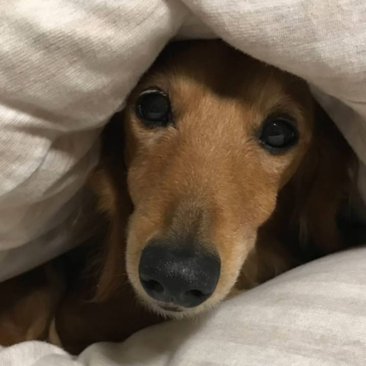 536caad3 f43a 43b3 99b0 9dafb024d165 1763286123522