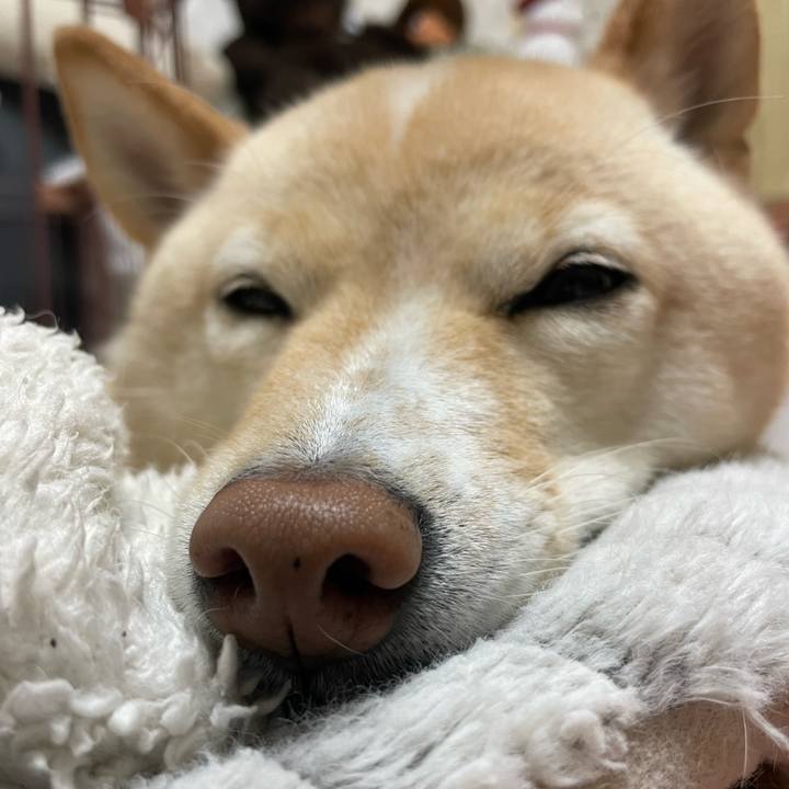 536ce664 2c53 4f7e 80f5 d690365996cd 1669244898747