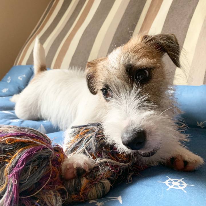 536d0560 e6b4 4b0b 97cc d5da3e35b203 1566434683077