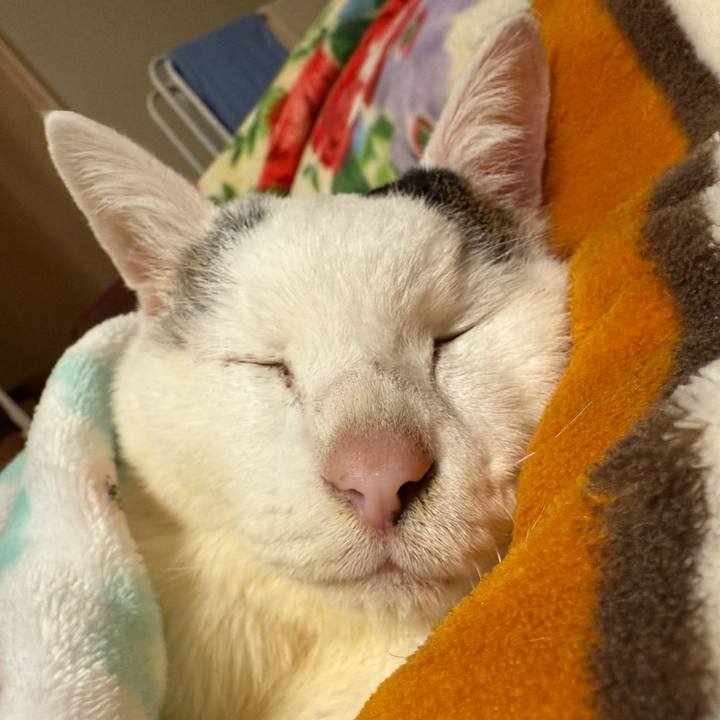 536d3af0 edbe 431a 956f 2e5de6442afa 1768828183606