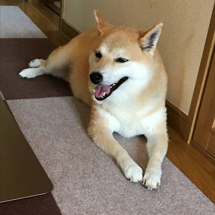 536d9222 9bbc 48ef 9835 72b97f8cfcbc 1531655669889