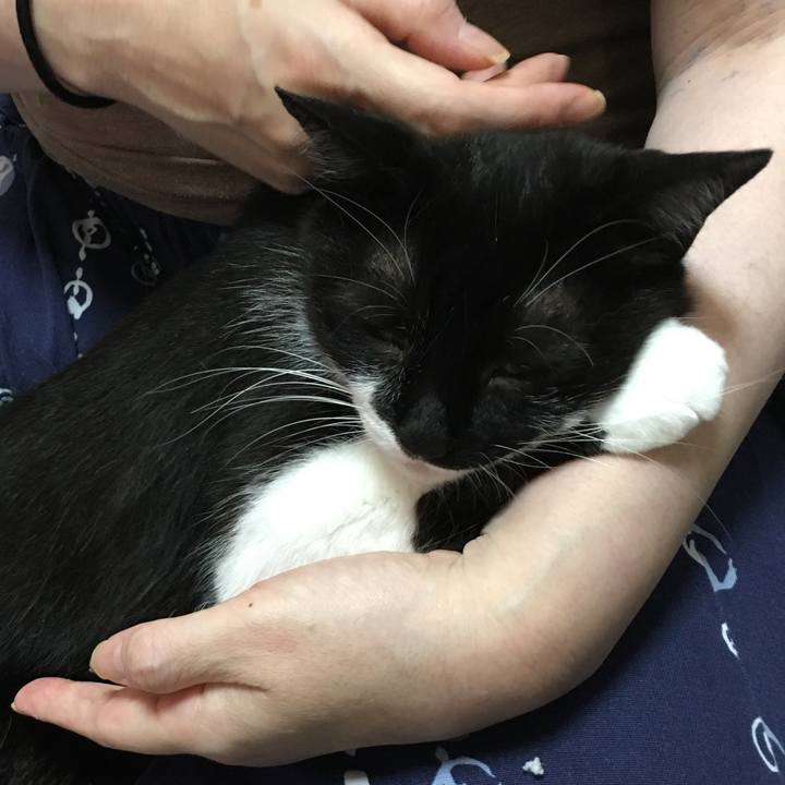 536d9c0b 5588 4a93 940c b1e4e855c4e8 1562999304674