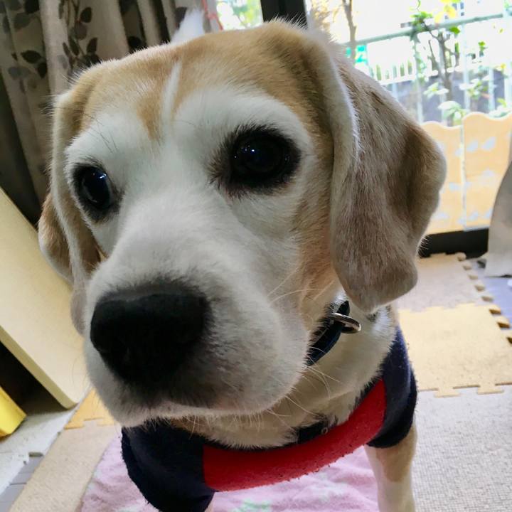 536da45c 2cd3 4a61 a7bf 3867f0684d55 1551844262310