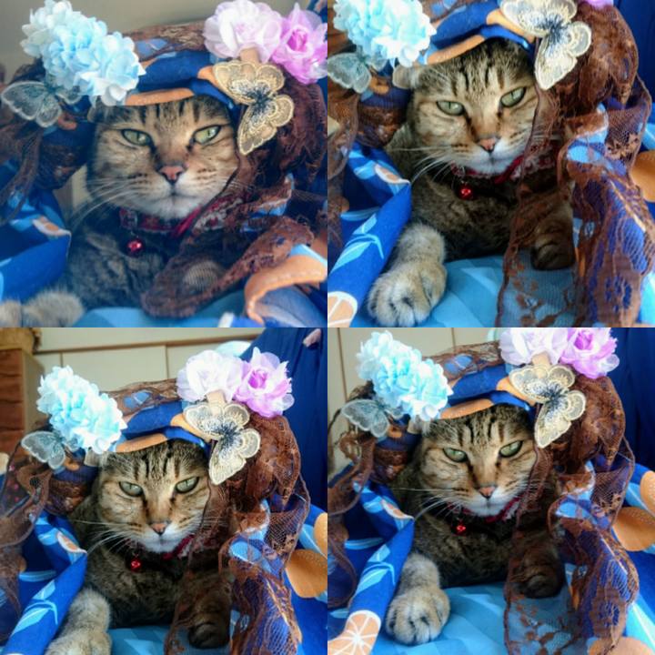 536dc175 05b3 48a6 ad24 8607d6c81113 1764893136643