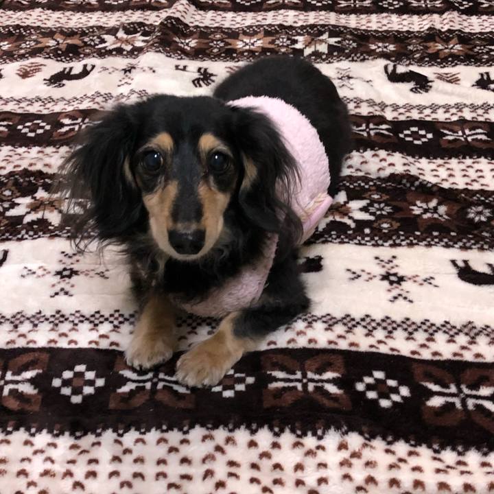 536dccf8 5557 4301 bc6a 8e7700d64e26 1577802657718