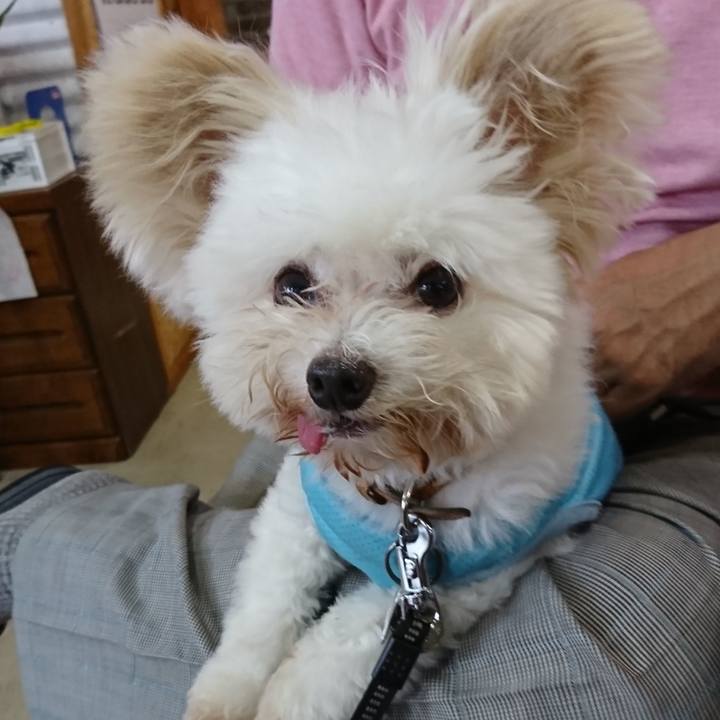 536de4c1 4690 49c0 8fa9 9cac69024233 1561286619275