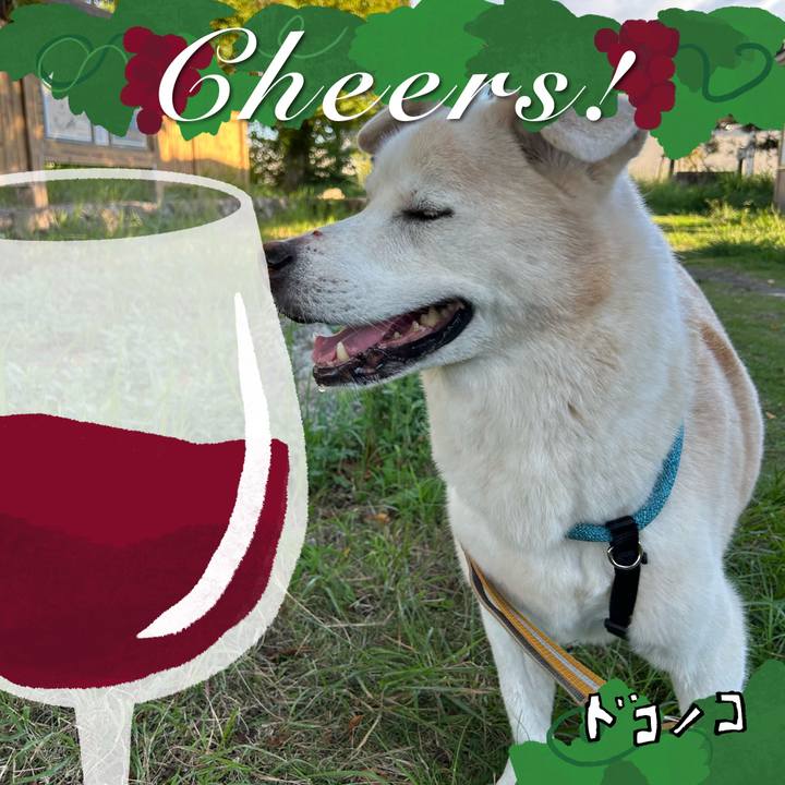 536deeb0 503b 4d6a b71b 4c069e0d344d 1761146625272