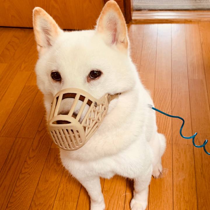 536df174 92e5 49d9 9e8e 0a1c7ecf77bb 1593896179426