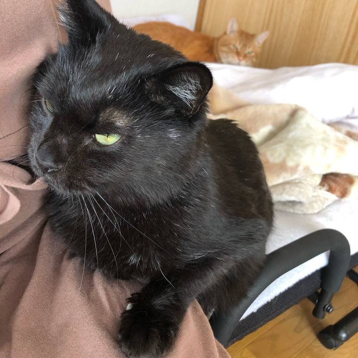 536df9b2 f71c 440d af73 58bdac07c142 1613876754379