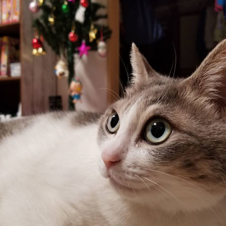 536e577e 8812 4322 80a1 3b497181b3fd 1639379525091